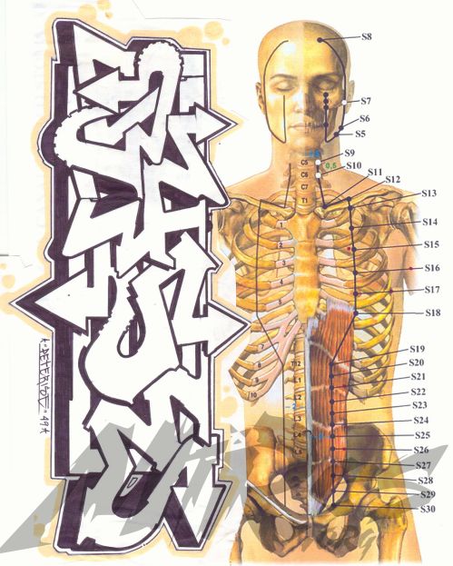 RISE: SHAKTY ANATOMY